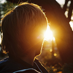 Web漏洞扫描工具